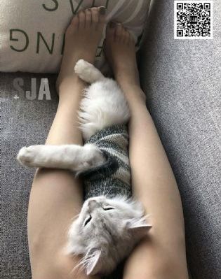 美女视频无遮挡永久网站_免费观看高清版