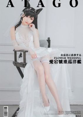 高清视频免费观看_DVD免费电视剧